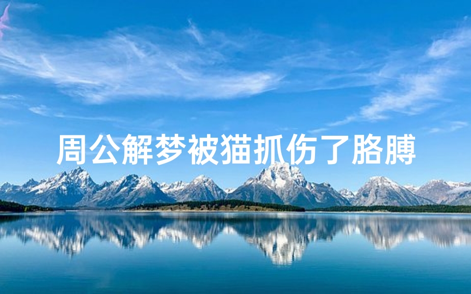 周公解梦被猫抓伤了胳膊(梦到被猫抓伤是什么意思)