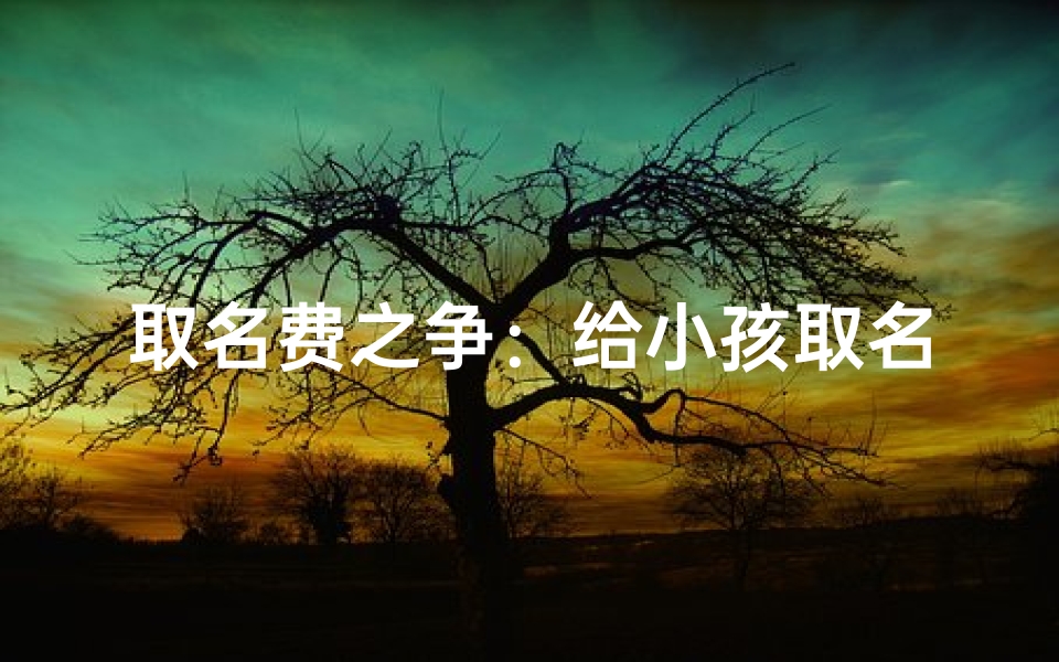 取名费之争:给小孩取名,钱是关键吗?