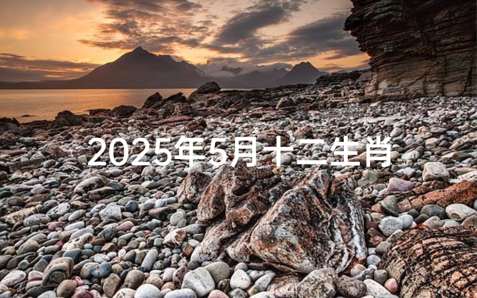 2025年5月十二生肖运势详解_2025年出生的五行属什么