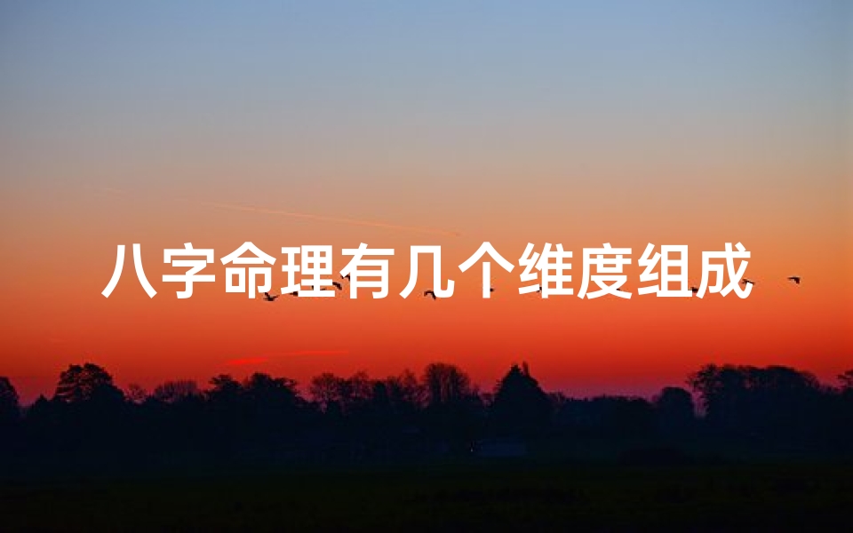 八字命理有几个维度组成、八字命理有多少种