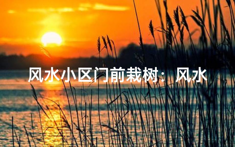 风水小区门前栽树:风水与绿意共融之道