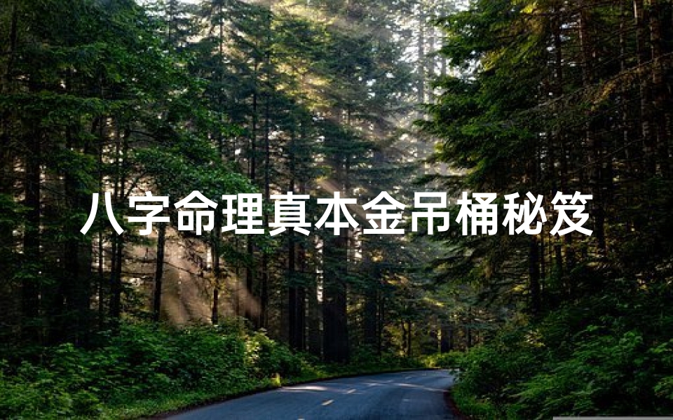 八字命理真本金吊桶秘笈—《揭秘八字命理真本金吊桶秘笈,财运亨通之道》
