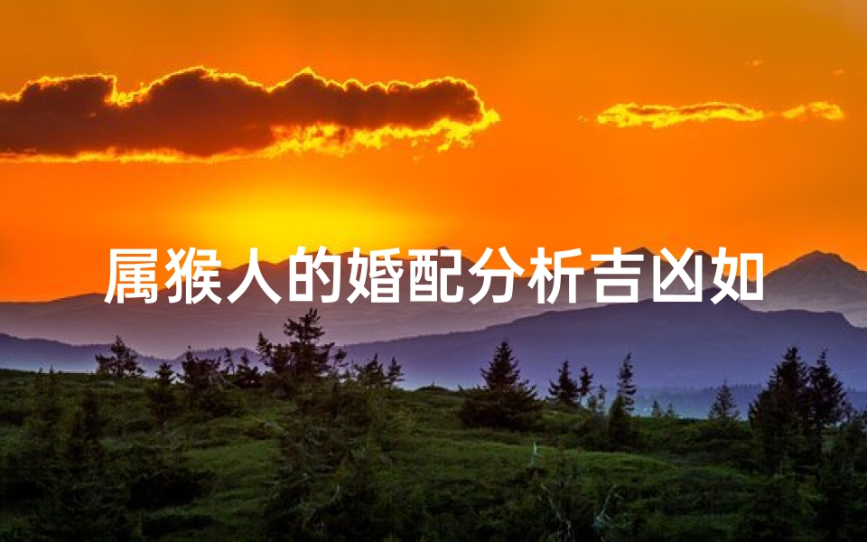 属猴人的婚配分析吉凶如何;属猴人婚配吉凶分析:揭秘最佳伴侣