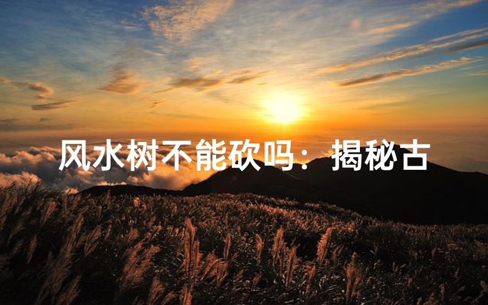 风水树不能砍吗:揭秘古树守护之谜-海瑞算卦网