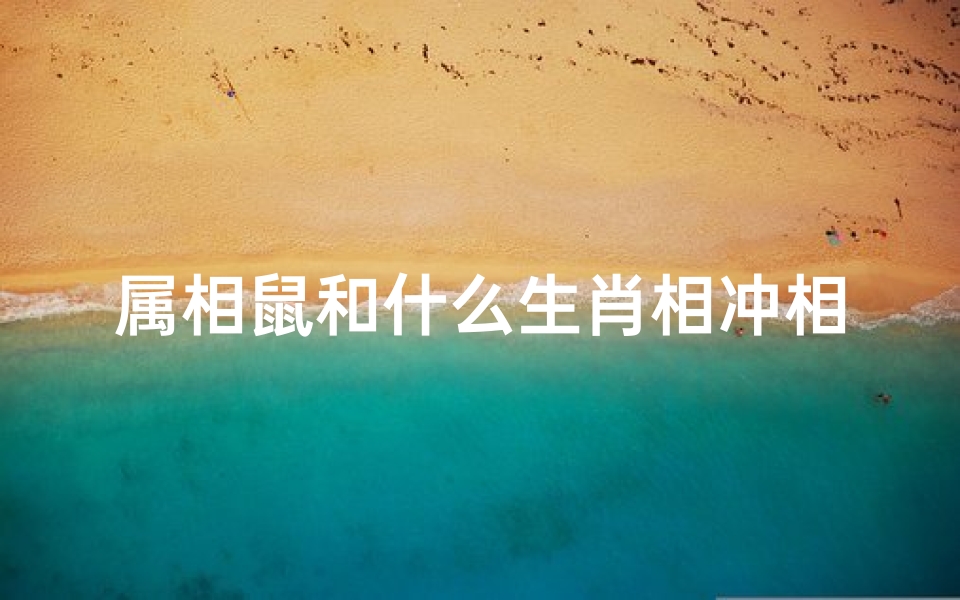 属相鼠和什么生肖相冲相克(属鼠的和什么属相相克相生)