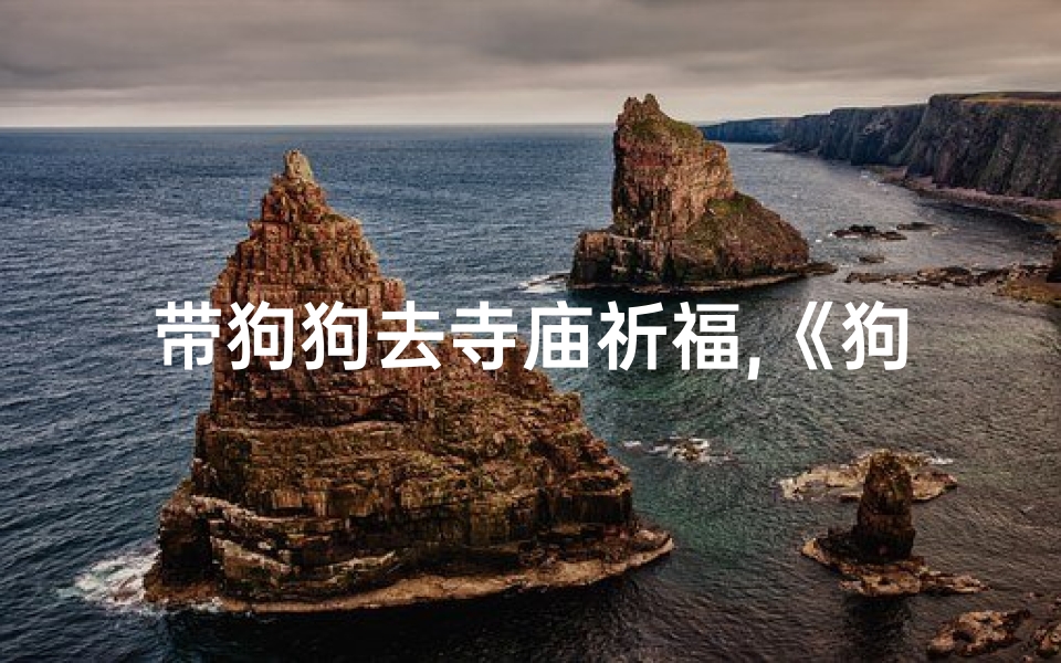 带狗狗去寺庙祈福,《狗狗随行,寺庙祈福之旅》