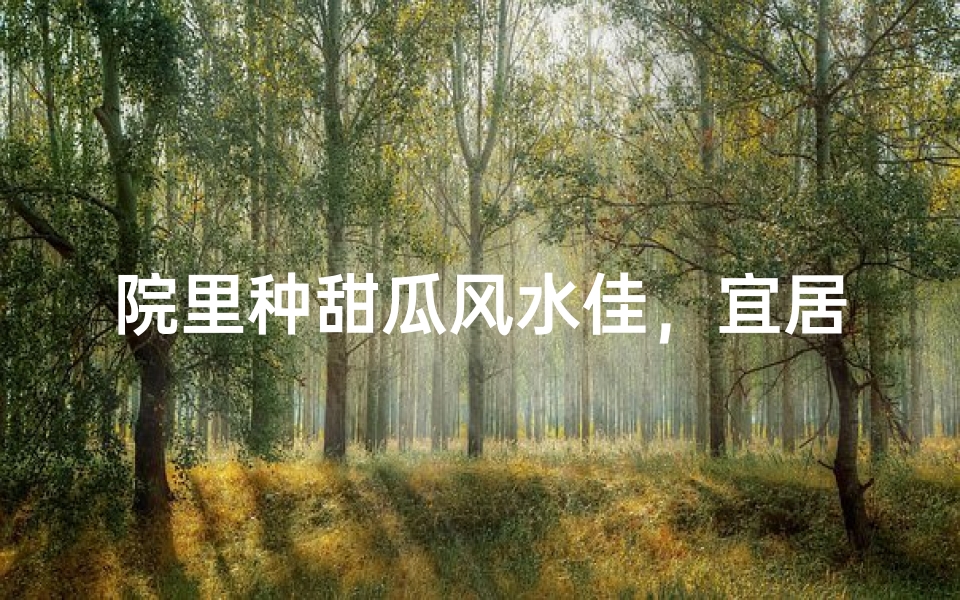院里种甜瓜风水佳,宜居宜业好选择