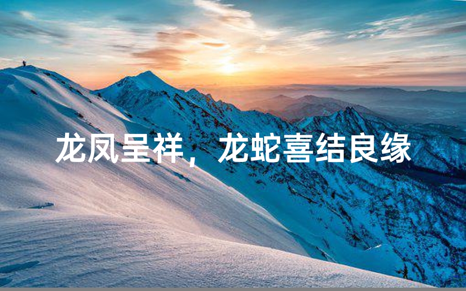 龙凤呈祥,龙蛇喜结良缘吉日揭晓