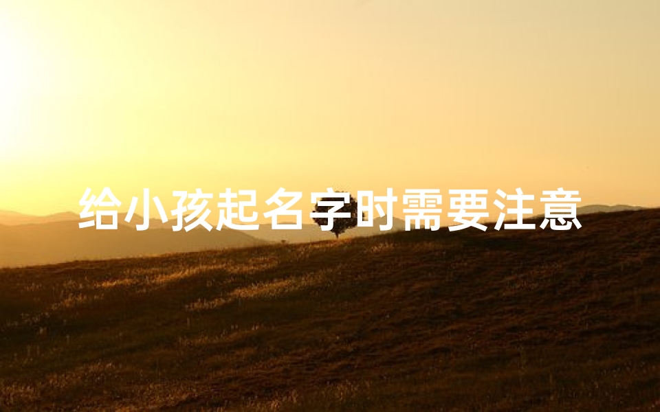 给小孩起名字时需要注意什么(《起名攻略:育儿路上起名注意事项》)