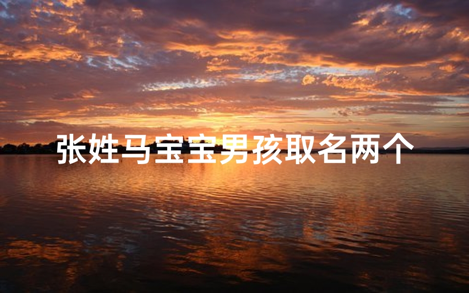 张姓马宝宝男孩取名两个字