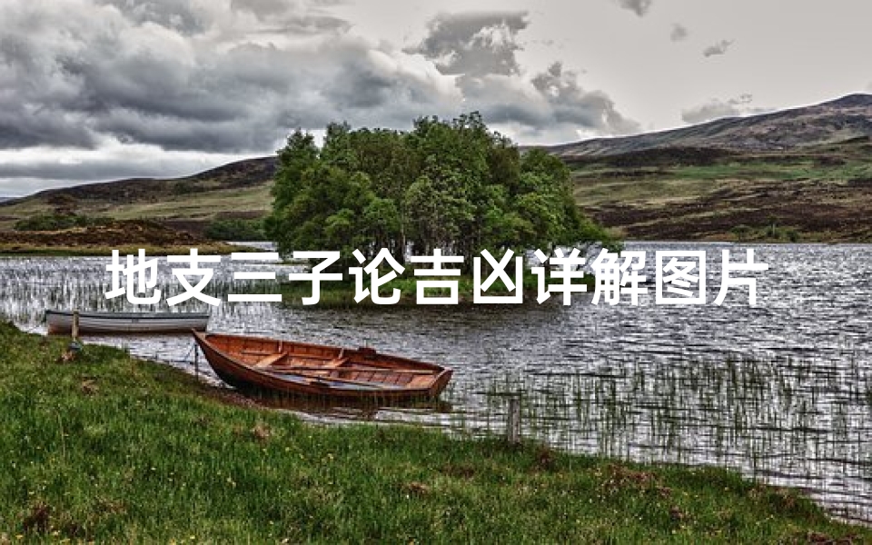 地支三子论吉凶详解图片(地支子的解释)