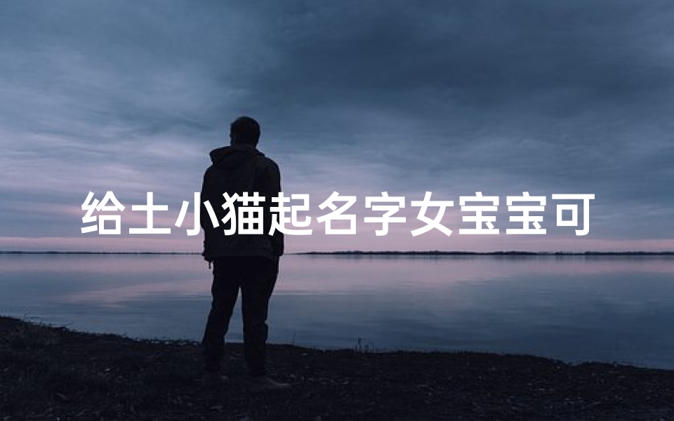 给土小猫起名字女宝宝可爱(可爱女宝宝用婉字的好听名字)