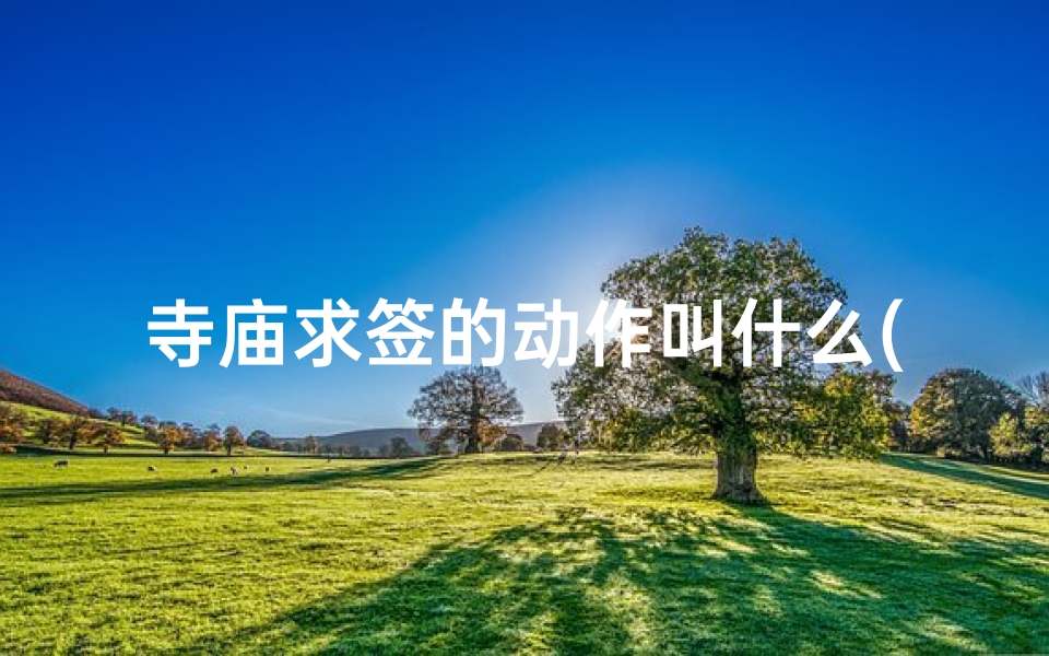 寺庙求签的动作叫什么(打卦是什么意思 )