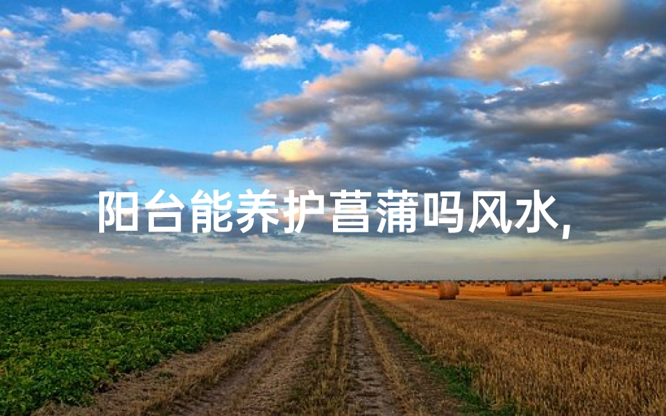 阳台能养护菖蒲吗风水,阳台养菖蒲风水宜忌解析