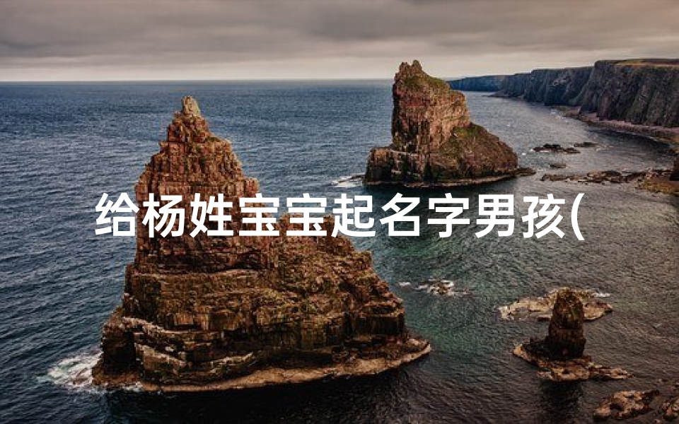 给杨姓宝宝起名字男孩(杨姓好听稀少的男孩名字)