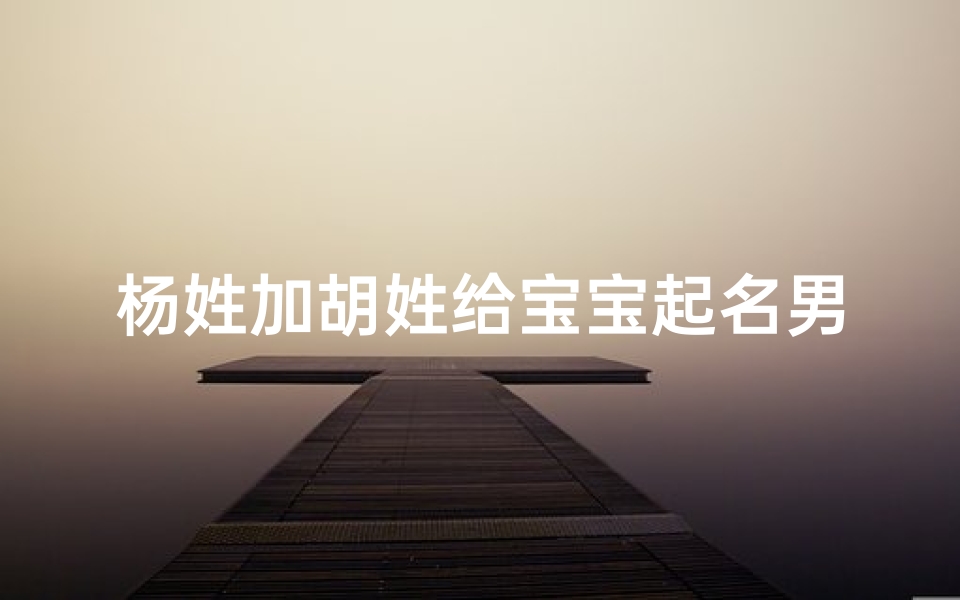 杨姓加胡姓给宝宝起名男孩(英文谐音取名)