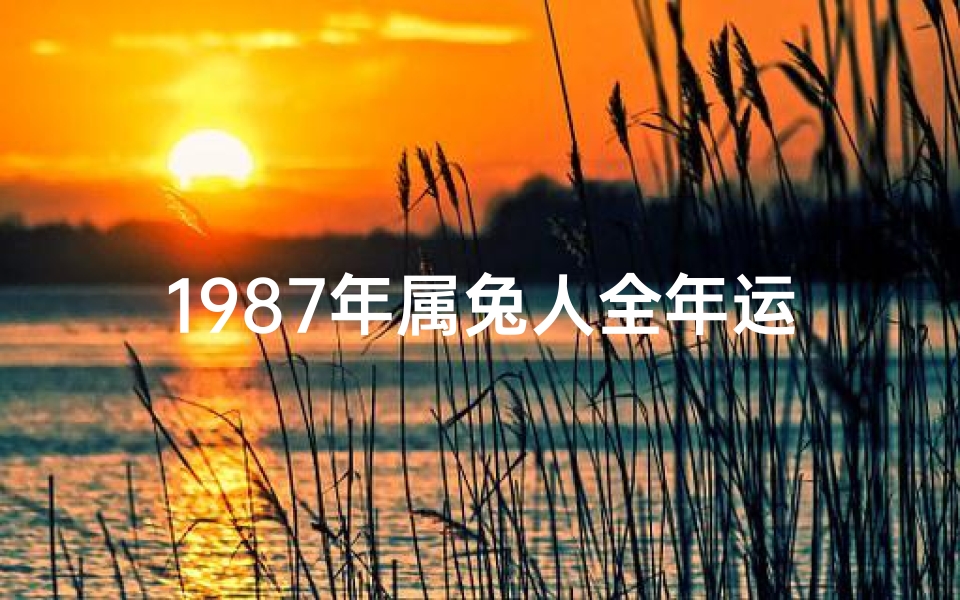 1987年属兔人全年运势解析,丁卯年生人事业、财运、感情运程详解