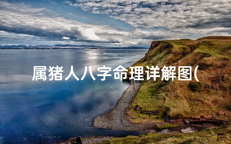 属猪人八字命理详解图(什么属猪的人最旺财呢)