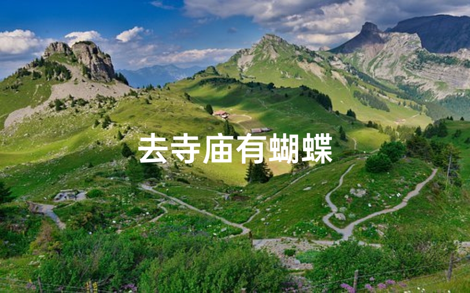 去寺庙有蝴蝶