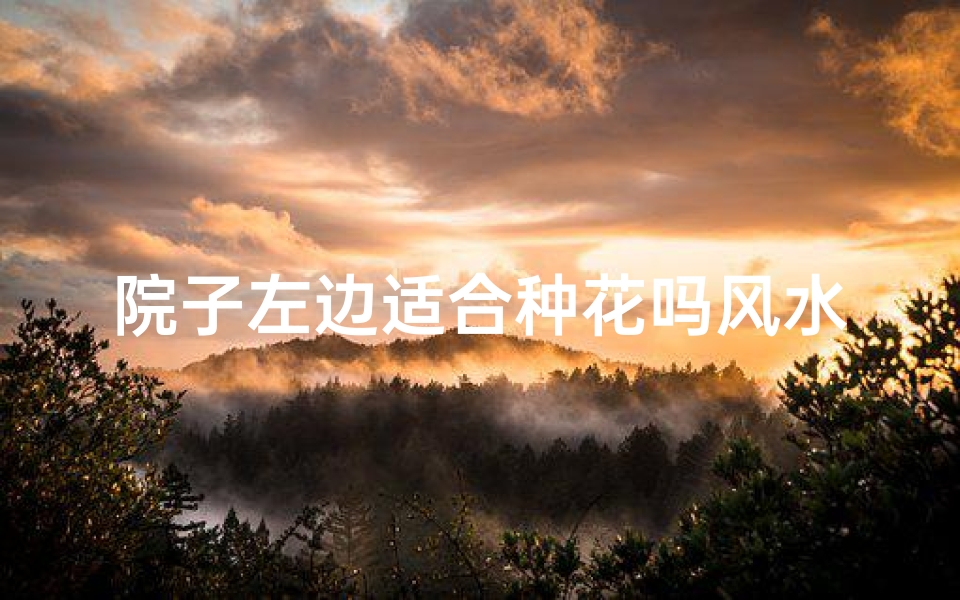 院子左边适合种花吗风水,院子边种什么花好