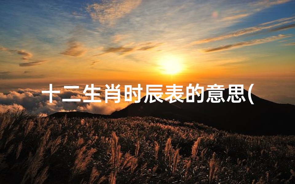 十二生肖时辰表的意思(十二生肖时辰)