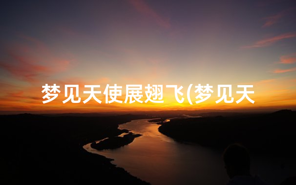 梦见天使展翅飞(梦见天使的翅膀是什么意思)