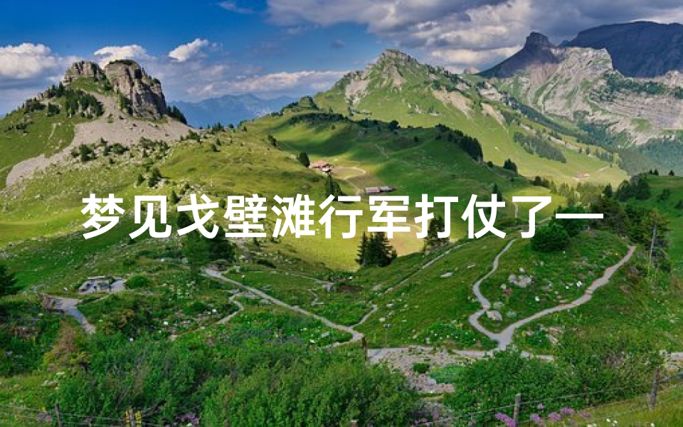 梦见戈壁滩行军打仗了—梦见戈壁滩行军打仗了什么意思