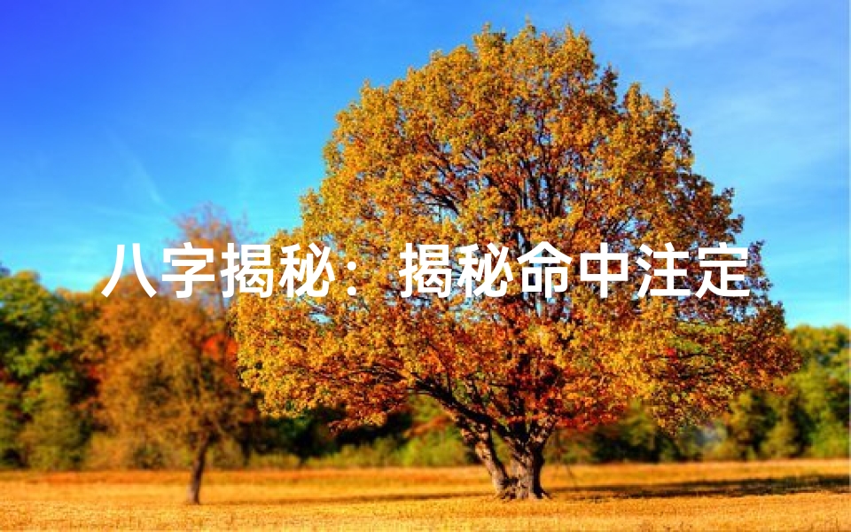 八字揭秘：揭秘命中注定富贵荣华之人