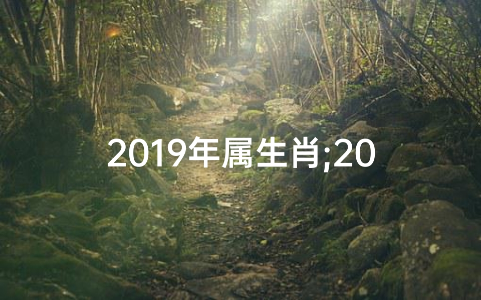 2019年属生肖;2019生肖运势大全:揭秘属相运势新篇章