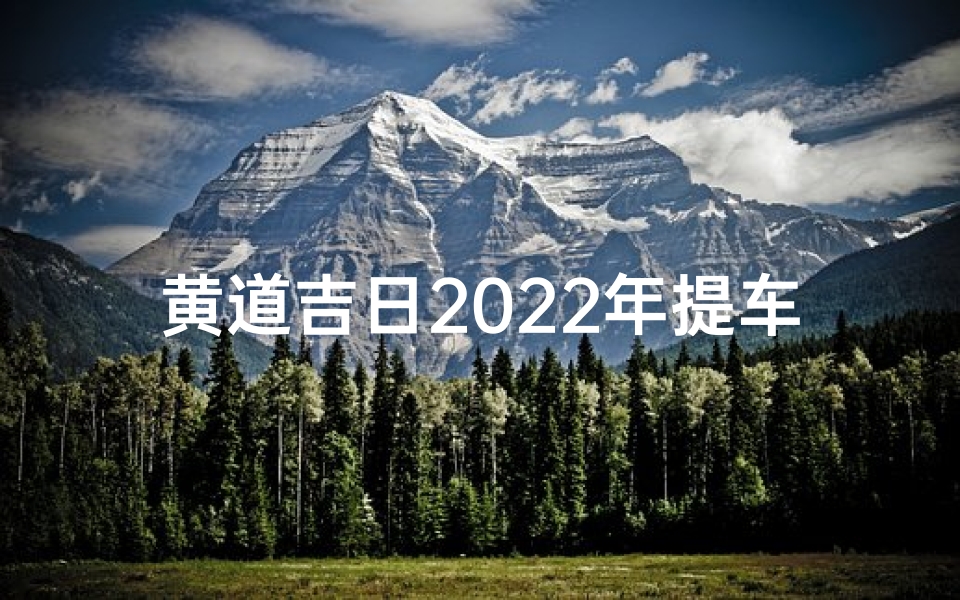 黄道吉日2022年提车