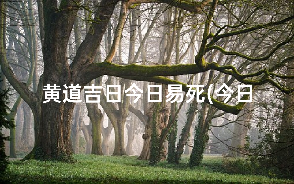 黄道吉日今日易死(今日的黄道吉时)