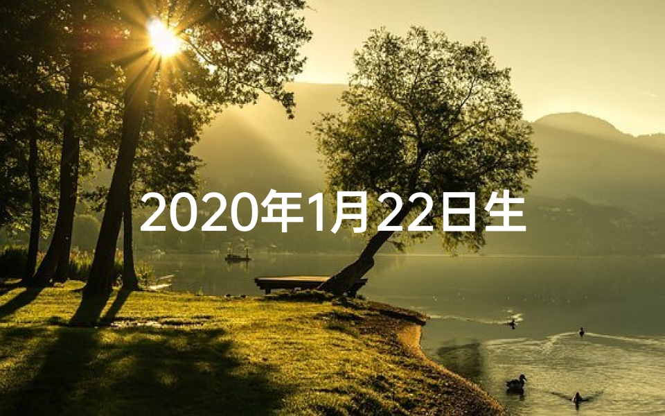 2020年1月22日生肖运势揭秘:运势大揭秘