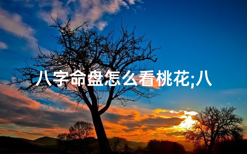 八字命盘怎么看桃花;八字命盘怎么看桃花旺不旺-海瑞算卦网