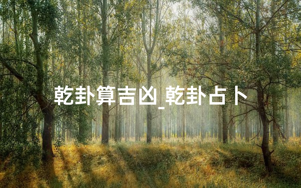 乾卦算吉凶_乾卦占卜