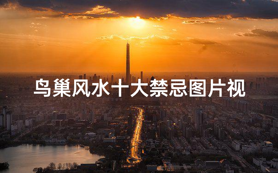 鸟巢风水十大禁忌图片视频(鸟进宅暗示什么)