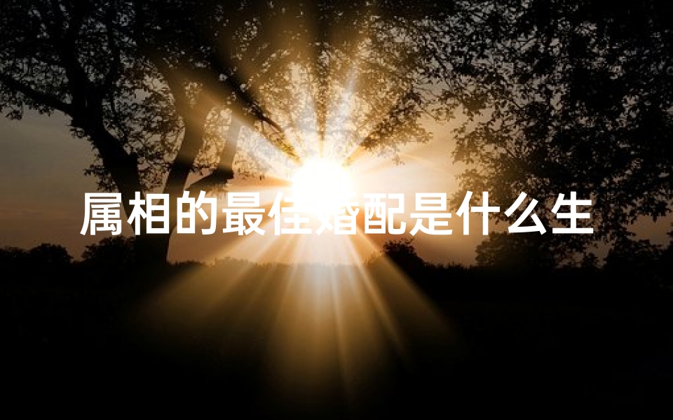 属相的最佳婚配是什么生肖(生肖和什么生肖最婚配,十二生肖的最佳配偶)
