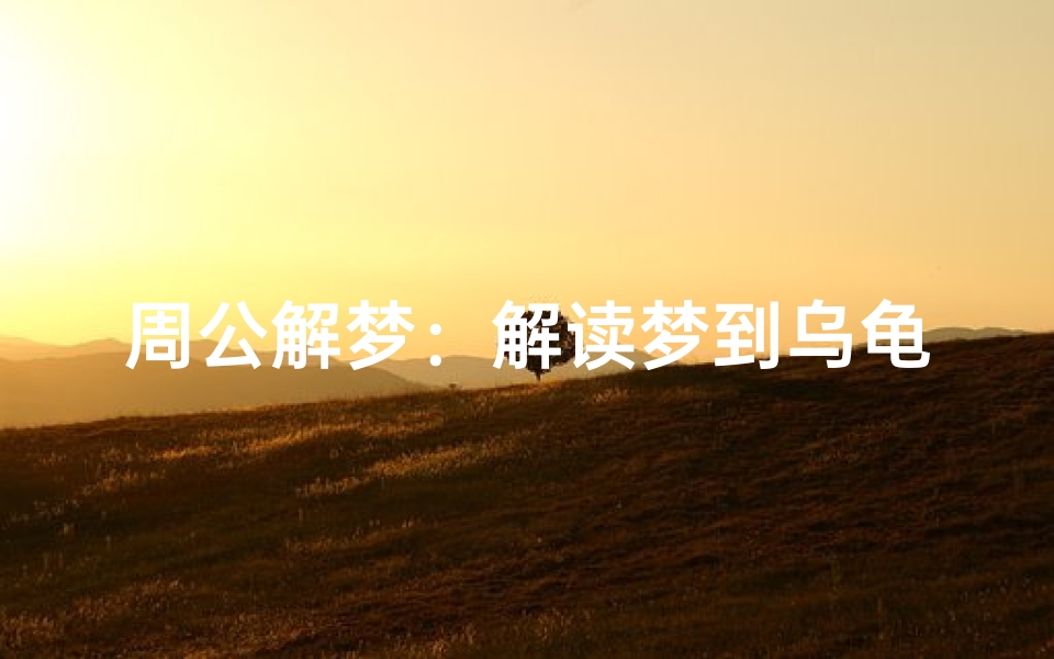 周公解梦:解读梦到乌龟的象征意义与预兆分析