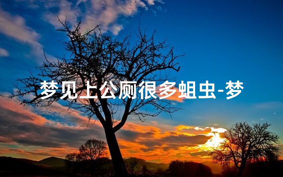 梦见上公厕很多蛆虫-梦见公厕很脏到处是蛆