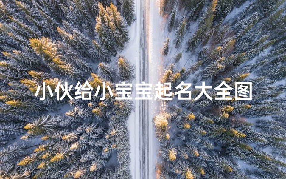 小伙给小宝宝起名大全图片(2025鼠年申时男孩起名)