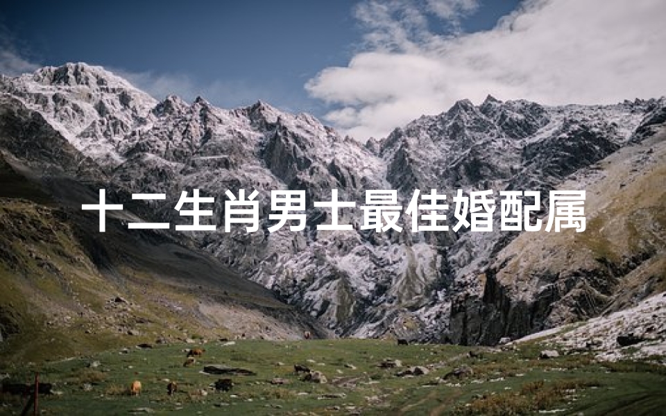 十二生肖男士最佳婚配属相(十二生肖最佳婚配表)