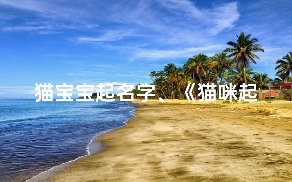 猫宝宝起名字、《猫咪起名攻略:猫宝宝名字大集合》