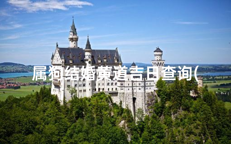 属狗结婚黄道吉日查询(属狗2025年结婚黄道吉日查询)