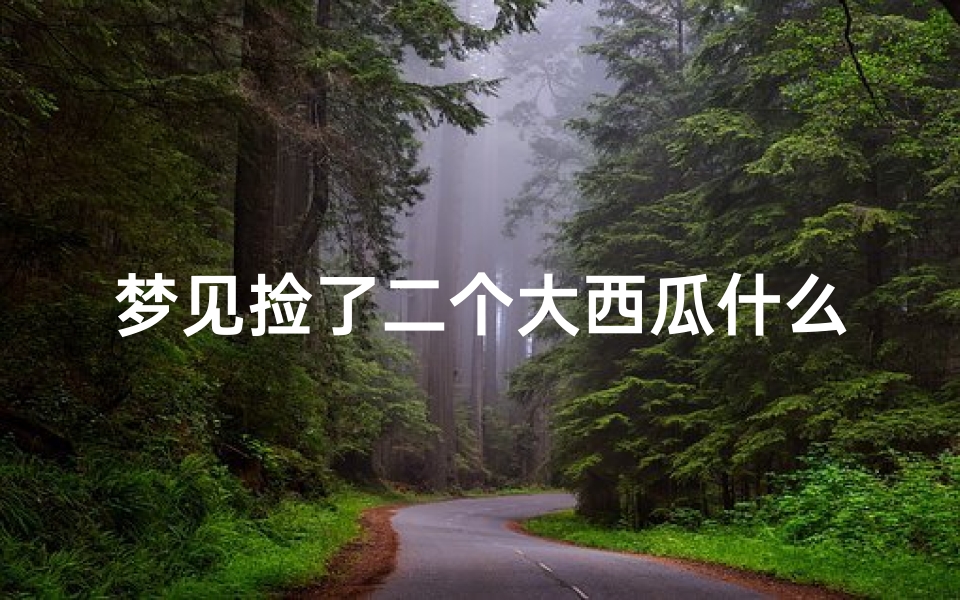 梦见捡了二个大西瓜什么意思,梦见捡了一个特别大的西瓜