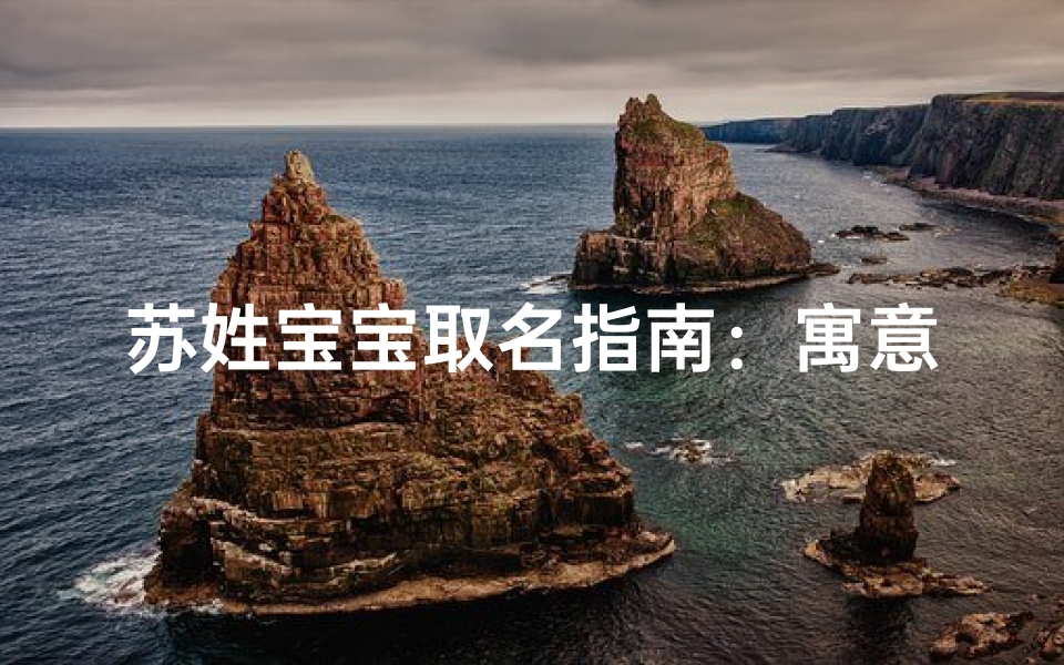 苏姓宝宝取名指南:寓意深远且朗朗上口的名字精选