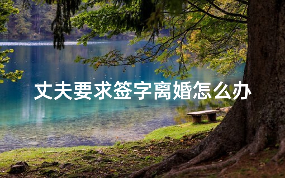 丈夫要求签字离婚怎么办(老公执意要离婚我该怎么办)
