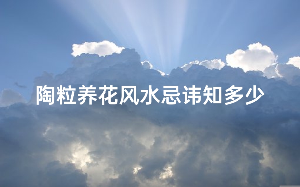 陶粒养花风水忌讳知多少?