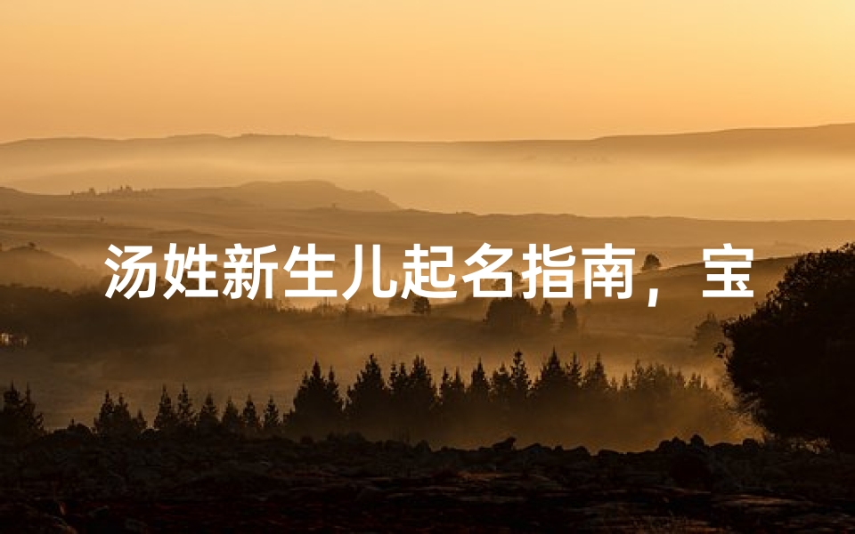 汤姓新生儿起名指南,宝宝取名灵感与传统文化解析