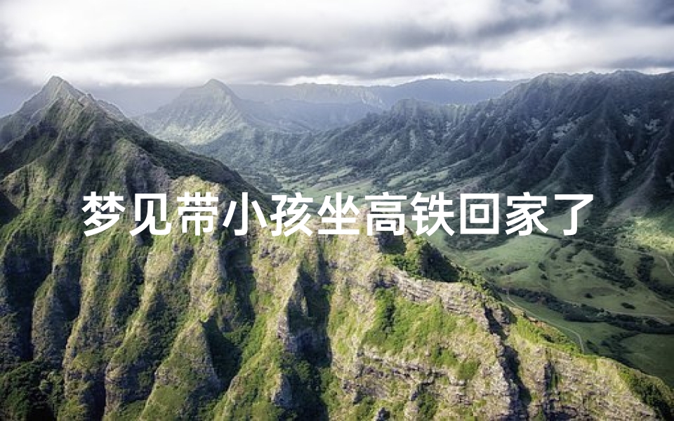 梦见带小孩坐高铁回家了—梦见带娃坐车
