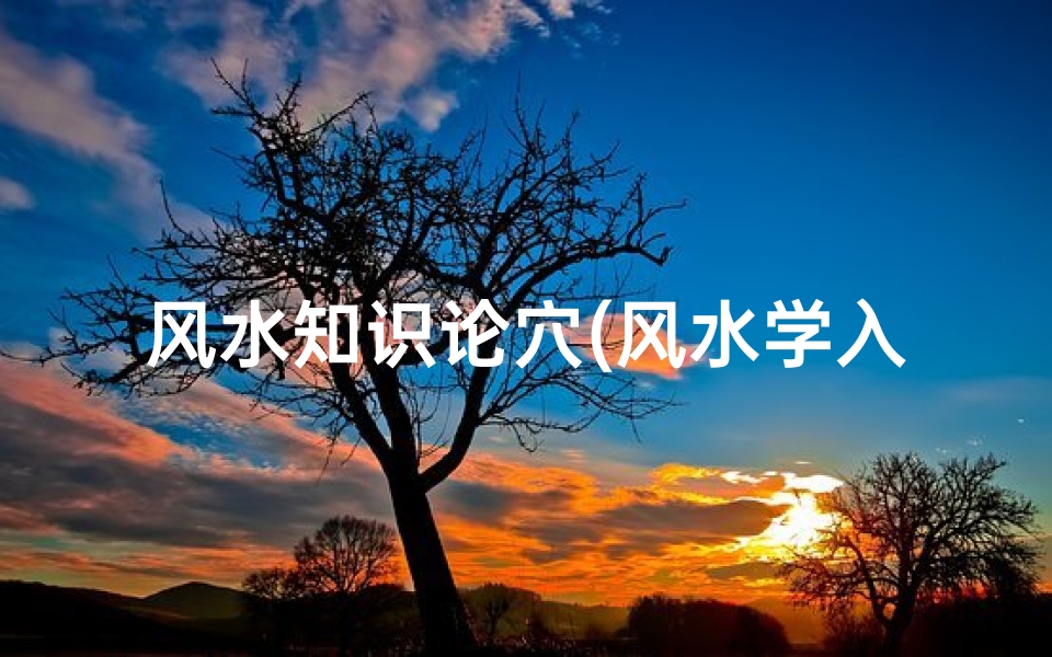 风水知识论穴(风水学入门怎么学 )