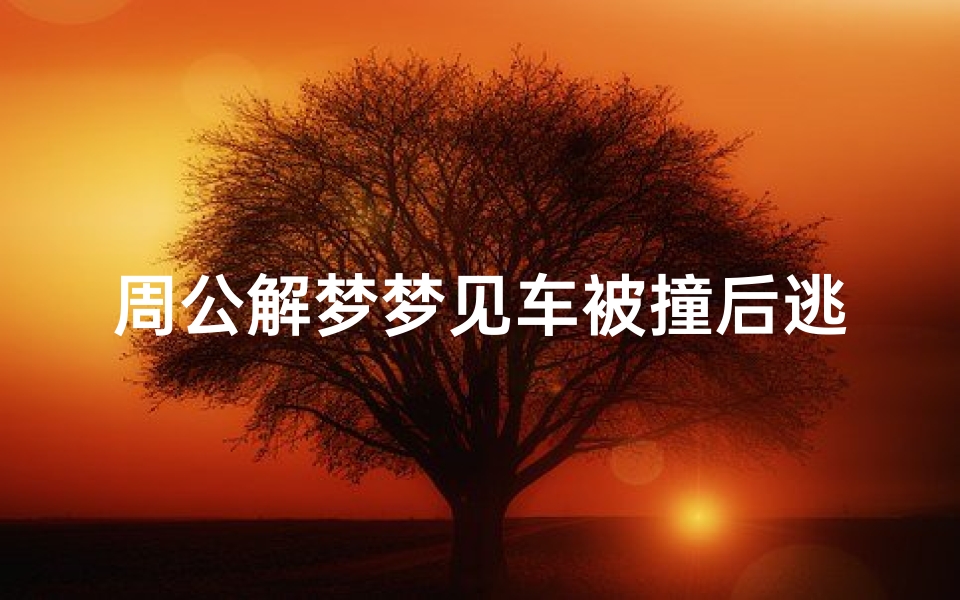 周公解梦梦见车被撞后逃跑(周公解梦,梦见被白色轿车撞倒后司机逃逸,代表什么)